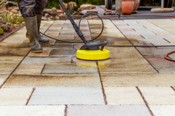 Best Pre-Holiday Cleaning  in Monroeville, IN